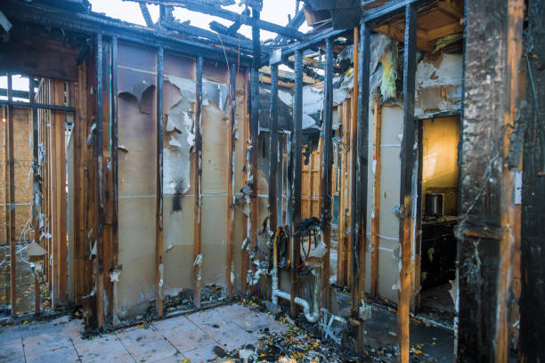 Professional Fire Damage Removal technician working in Germantown, TN